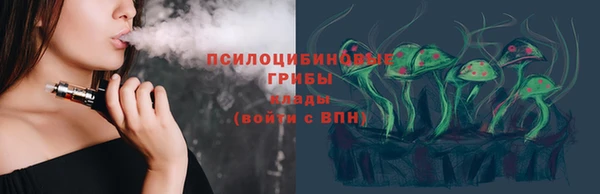 ГАЛЛЮЦИНОГЕННЫЕ ГРИБЫ Медвежьегорск