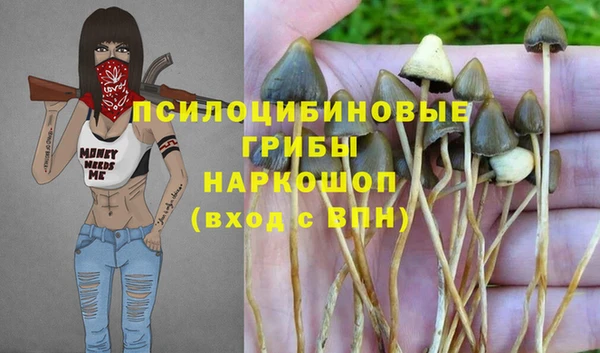 mdpv Медногорск