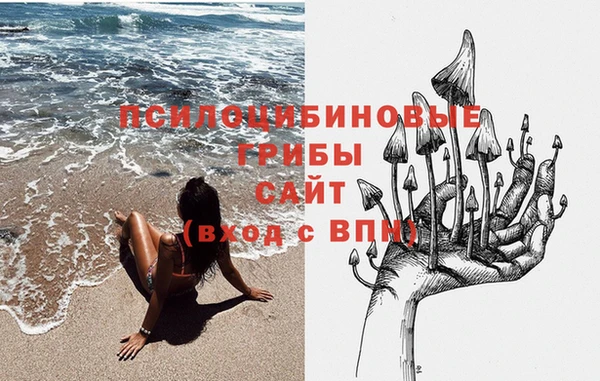 герыч Мегион