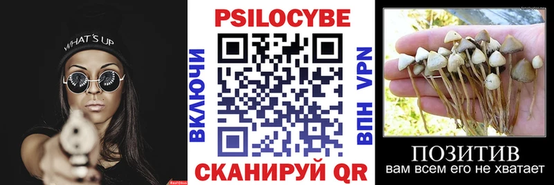 Псилоцибиновые грибы MAGIC MUSHROOMS  Партизанск 