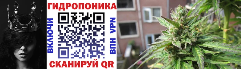 Канабис ГИДРОПОН  Партизанск 